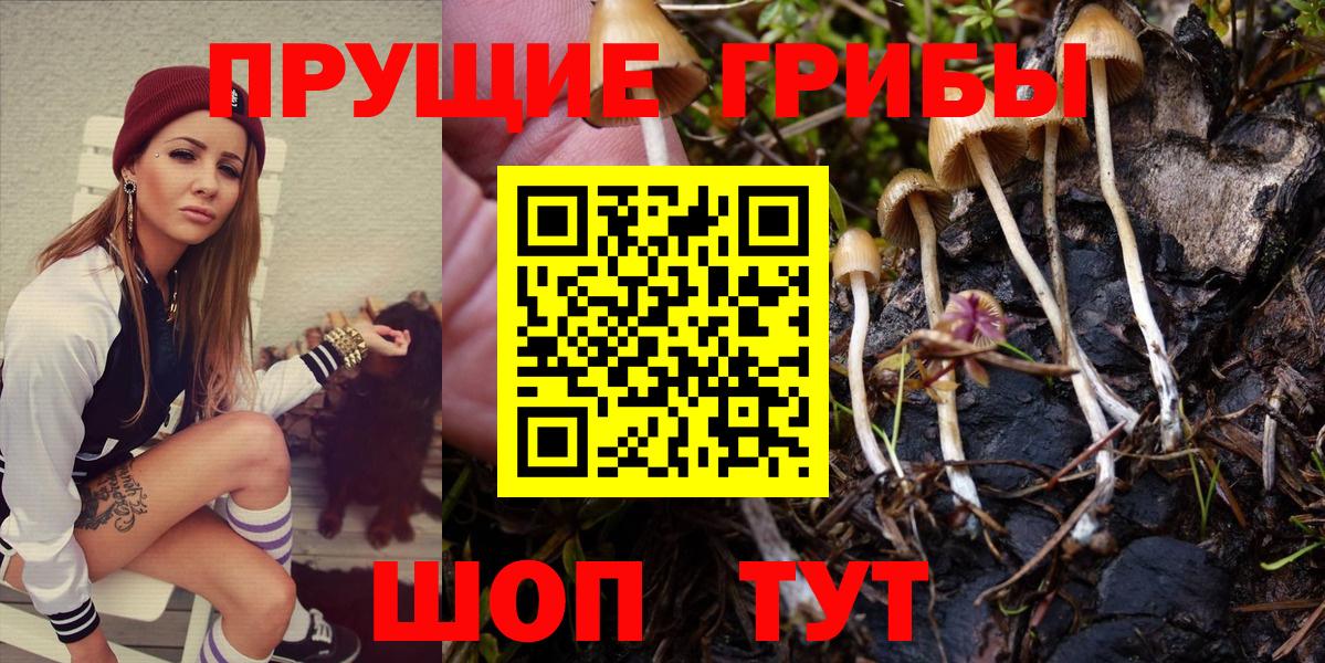 Тайшет  Галлюциногенные грибы ЛСД  Вход с VPN 