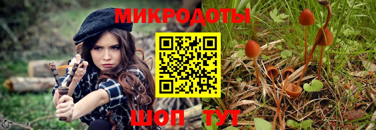 Галлюциногенные грибы мицелий Тайшет